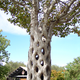 Image for article titled The World's Strangest and Most Magnificent Gardens